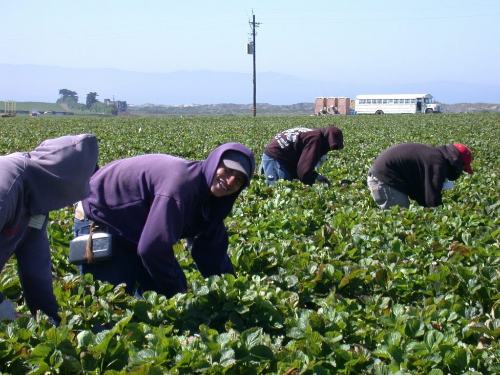 Perspectives on Farm Work in the US